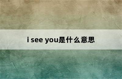 i see you是什么意思